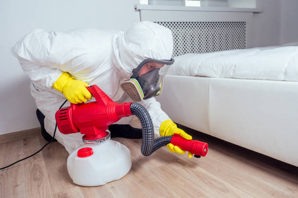 Pest Prevention Services in East Rutherford, NJ